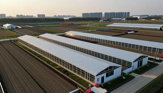 技术外包如何支撑业务发展中的性能需求